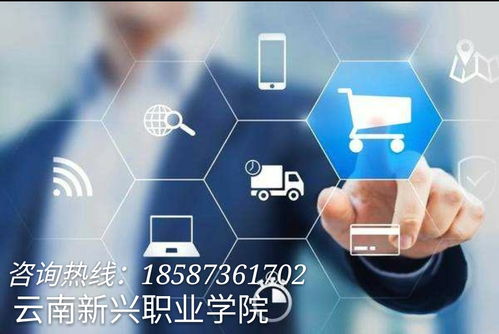 云南新兴职业学院 电子商务技术引领策划创意服务新篇章